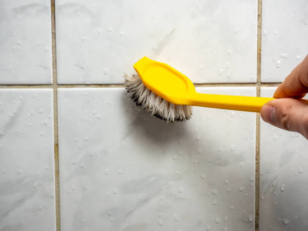 Best Mold Testing  in Wolfforth, TX