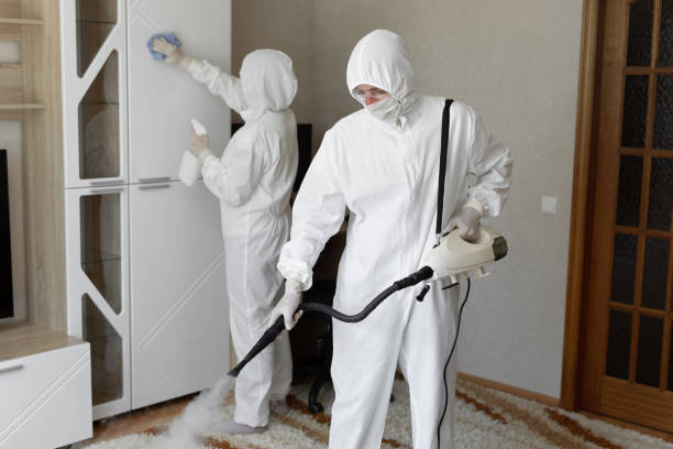 Water Damage Restoration in Wolfforth, TX